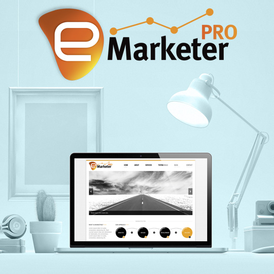 digital marketing website logo design